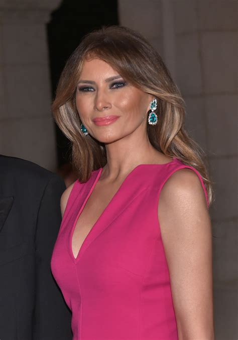 melania trump dress